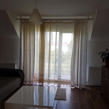 Cluj Lux Apartments المظهر الخارجي الصورة